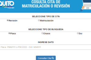 Cómo imprimir comprobante de pago de matrícula vehicular