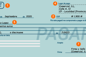 Creación de un Pagaré de Pago: Pasos Importantes