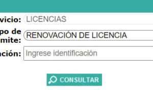 Generación de Orden de Pago para Renovación de Licencia