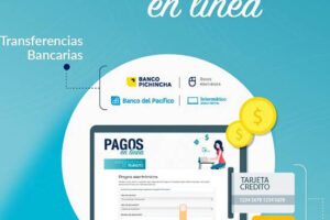 Pagar multas ANT en línea: Pasos y recomendaciones