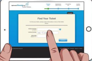 Pagar una multa de tránsito por internet: Pasos seguros