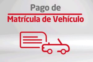 Pago de Matrícula Vehicular con Tarjeta de Crédito: Pasos Clave