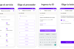 Cómo pagar la factura de luz en línea de manera conveniente