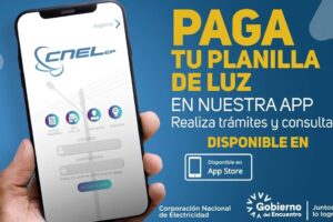 Cómo realizar pagos de la planilla de luz con tarjeta de crédito