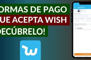 Cómo realizar pagos en la plataforma Wish de manera segura