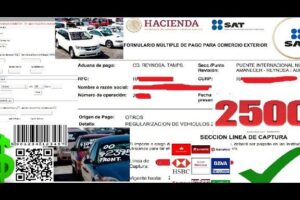 Pago de Revisión Vehicular: Instrucciones Claves