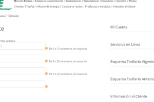 Pago de Servicio de Luz: Opciones Disponibles